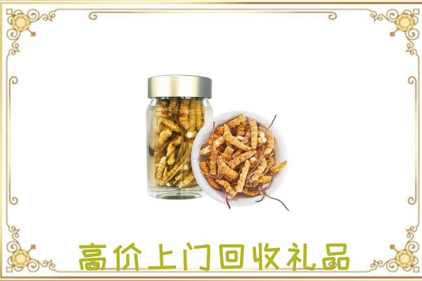 洛江周边回收虫草